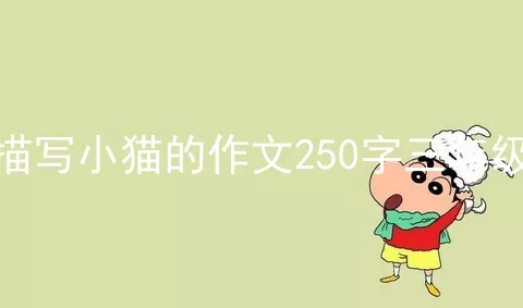 描写小猫的作文250字三年级