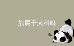 熊属于犬科吗