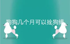 狗狗几个月可以拴狗绳