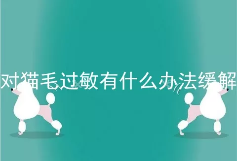 对猫毛过敏有什么办法缓解