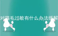 对猫毛过敏有什么办法缓解