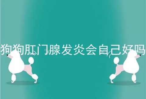 狗狗肛门腺发炎会自己好吗