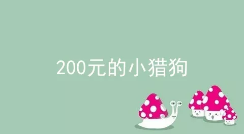 200元的小猎狗