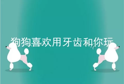 狗狗喜欢用牙齿和你玩