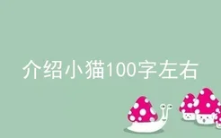 介绍小猫100字左右