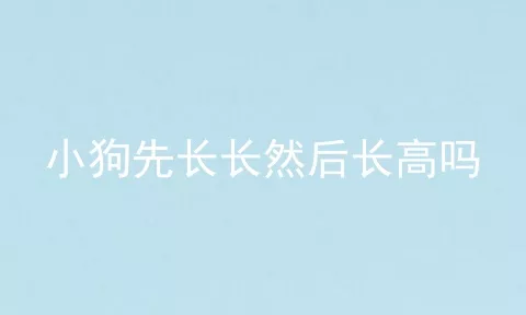 小狗先长长然后长高吗