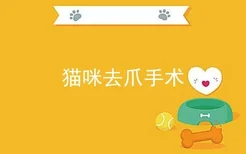 猫咪去爪手术