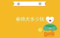 拳师犬多少钱