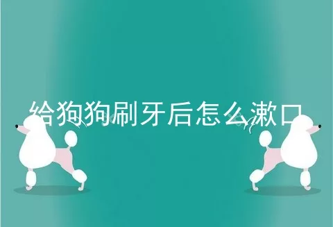 给狗狗刷牙后怎么漱口