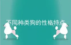 不同种类狗的性格特点