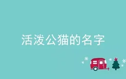 活泼公猫的名字