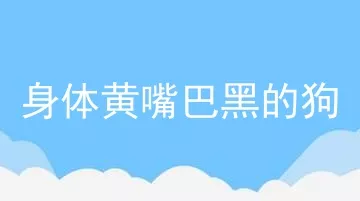 身体黄嘴巴黑的狗