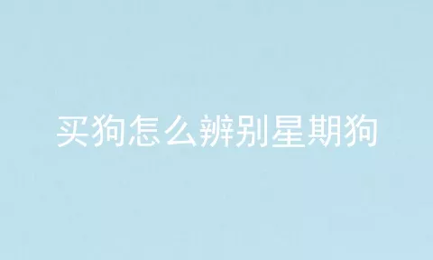 买狗怎么辨别星期狗