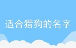 适合猎狗的名字