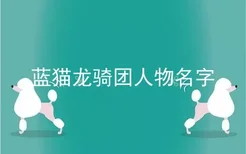 蓝猫龙骑团人物名字