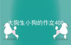 大狗生小狗的作文400