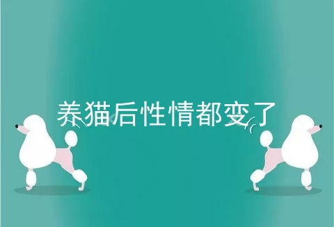 养猫后性情都变了