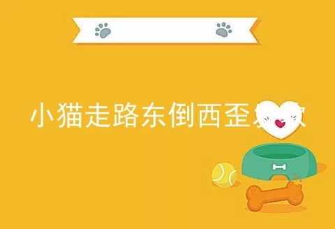 小猫走路东倒西歪发软