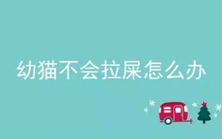 幼猫不会拉屎怎么办