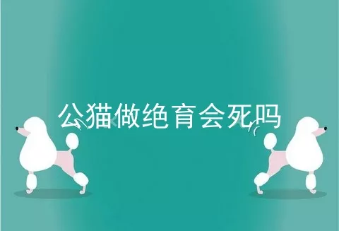 公猫做绝育会死吗