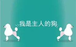 我是主人的狗