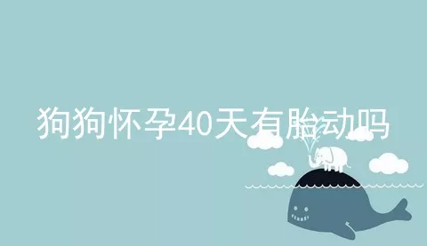 狗狗怀孕40天有胎动吗