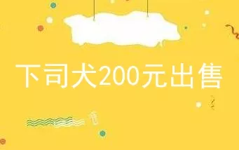 下司犬200元出售