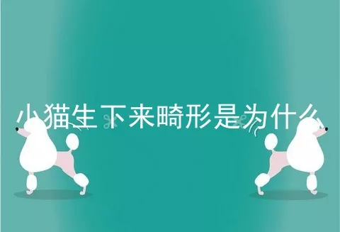 小猫生下来畸形是为什么