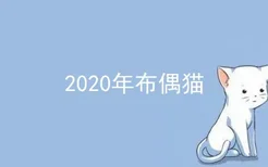 2020年布偶猫