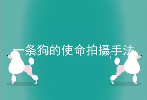 一条狗的使命拍摄手法