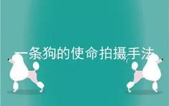 一条狗的使命拍摄手法