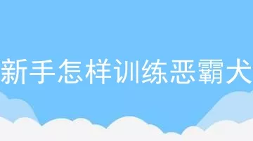 新手怎样训练恶霸犬