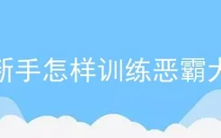 新手怎样训练恶霸犬