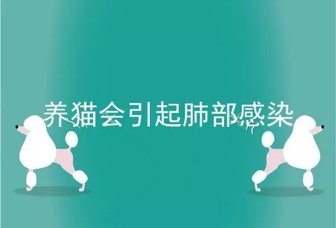 养猫会引起肺部感染