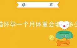 猫怀孕一个月体重会增大多少