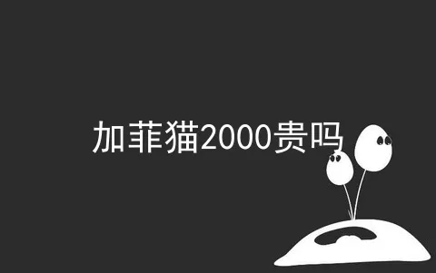 加菲猫2000贵吗