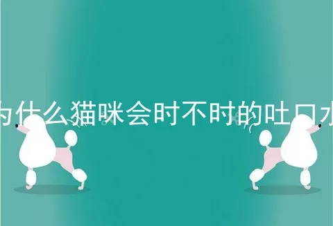 为什么猫咪会时不时的吐口水