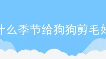 什么季节给狗狗剪毛好