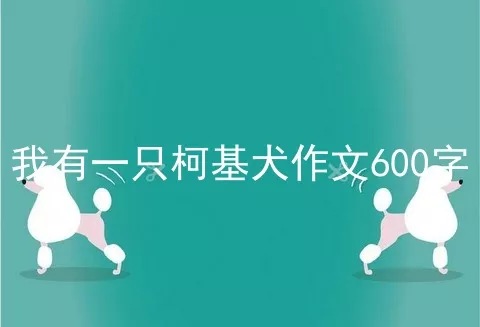 我有一只柯基犬作文600字