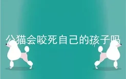 公猫会咬死自己的孩子吗