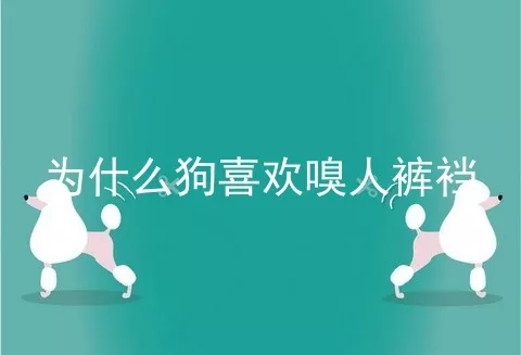 为什么狗喜欢嗅人裤裆