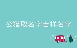 公猫取名字吉祥名字