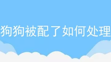 狗狗被配了如何处理