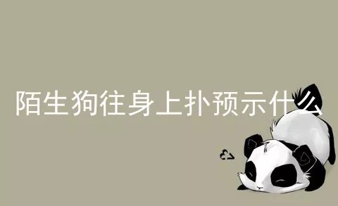 陌生狗往身上扑预示什么