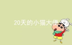 20天的小猫大便