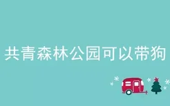 共青森林公园可以带狗