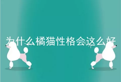 为什么橘猫性格会这么好