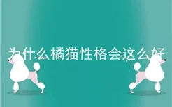 为什么橘猫性格会这么好