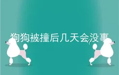 狗狗被撞后几天会没事