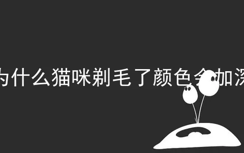 为什么猫咪剃毛了颜色会加深